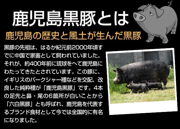 期間限定 特別価格 】 かごしま特選黒豚しゃぶ「くろくま」 K170-001