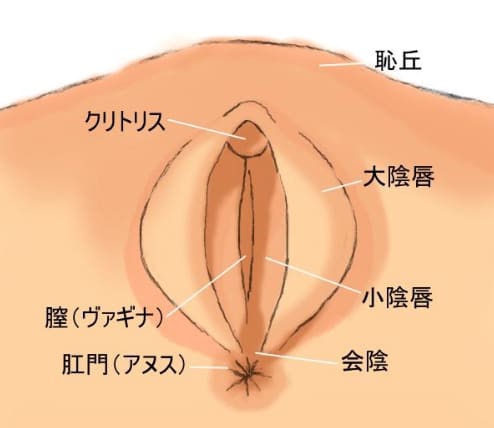 M男のアナル調○しながら超高速寸止め手コ | アダルト動画