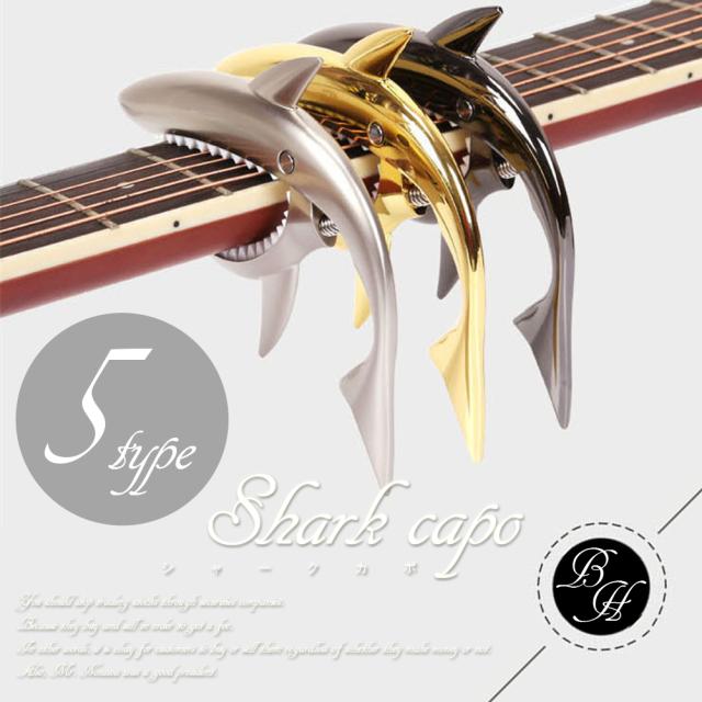 2024年 最新版 ～アコギ人気ランキングTOP10～サウンドハウス