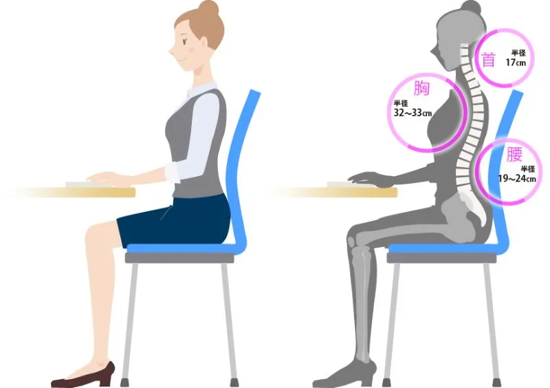 オフィスチェア Try トライ ローバック 肘なし ホワイトシェル KC-TR50SEL