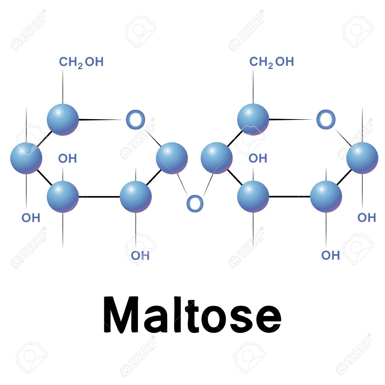 最新 マルクトハル - チケット、営業時間、口コミ、写真2025年Trip.com