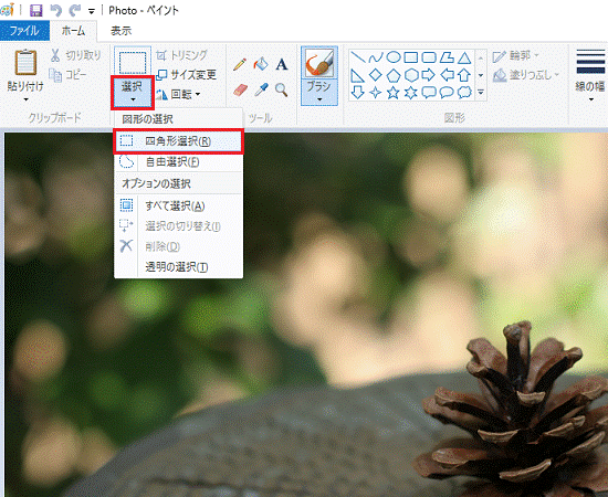 無料 画像トリミング・切り取りの方法とおすすめツール・オンラインサイト５選 2025年最新版
