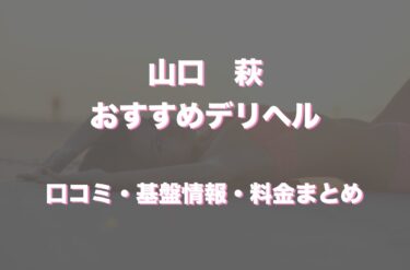 宇部のデリヘルで本番！プリコレの人気譲や基盤譲