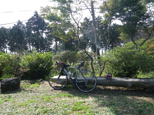 つつじヶ丘山荘 つつじ園 - 市貝町の植物園・花｜栃ナビ！