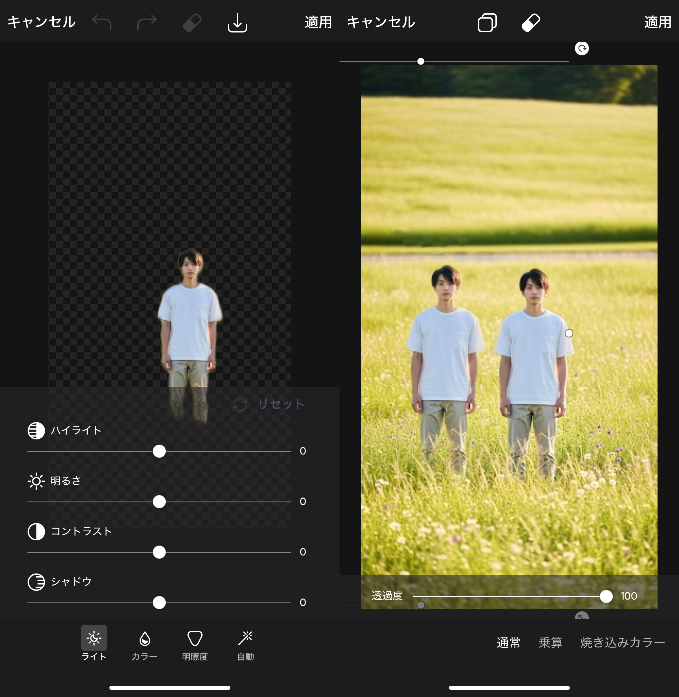 人物消すアプリ PicsartTikTok