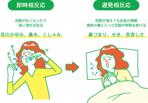 あれ、目が真っ赤！ 原因は 出血、「結膜下」1週間ほどで治る 充血、病気のサインに要注意