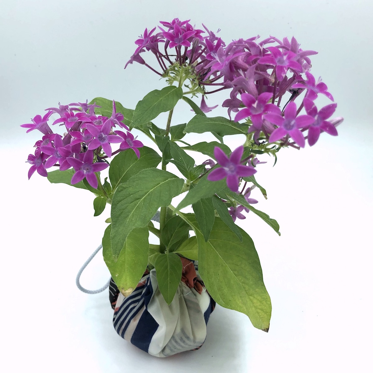 楽天市場 麻 布 花瓶インテリア小物・置物 ：インテリア・寝具・収納の通販