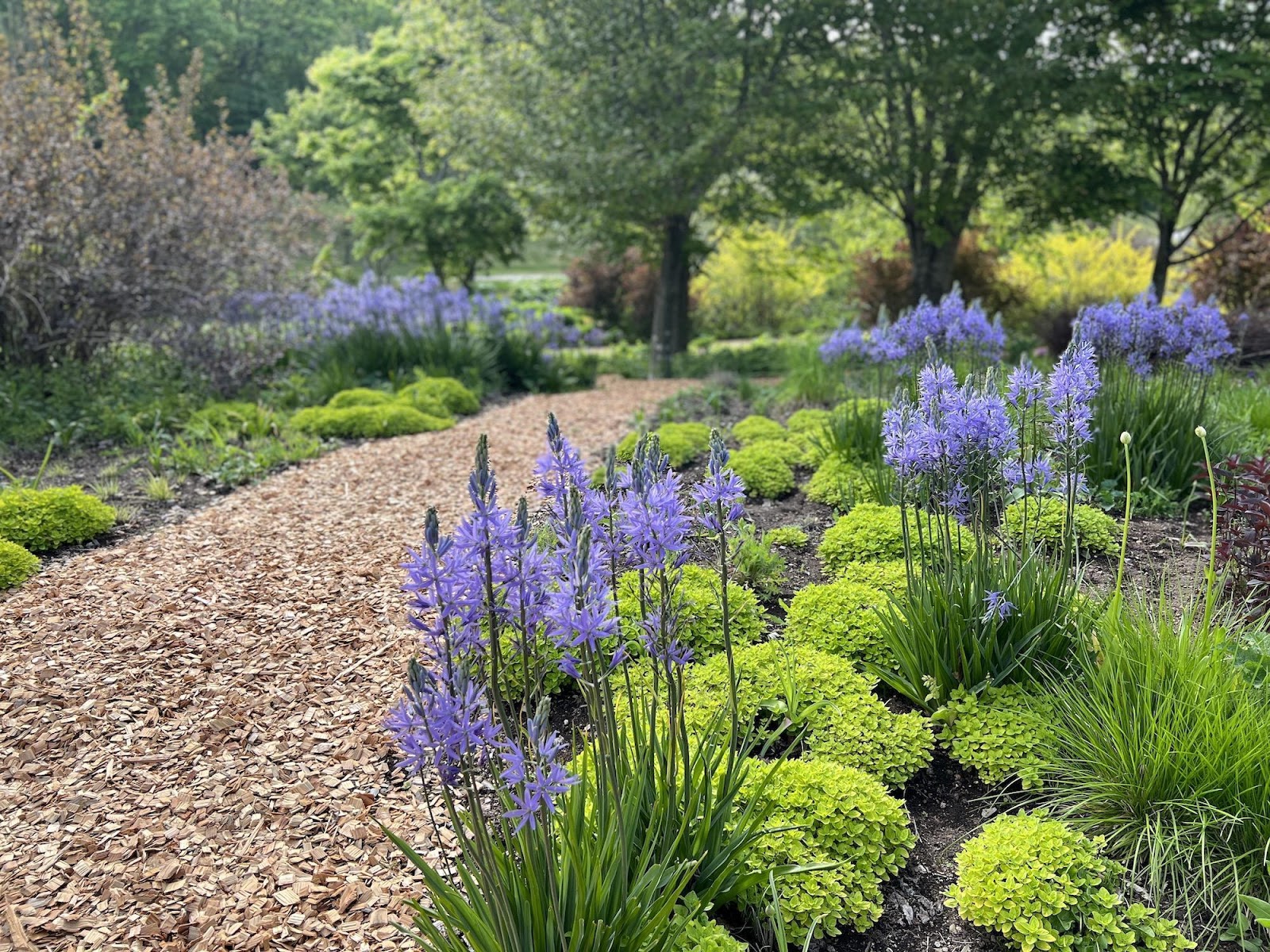 梅木あゆみガーデンキュレーター協会