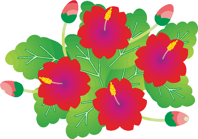 チングルマのイラストフリー素材 - GreenStock40