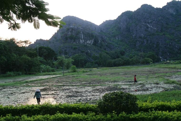 ハノイ ニンビン：1日タムコック トランアン、ホアルー＆ムア洞窟