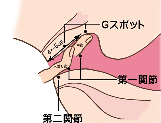 実録！男に潮を吹かせる超テクってる女 沢本レイ - 無料アダルト動画付き（サンプル動画）