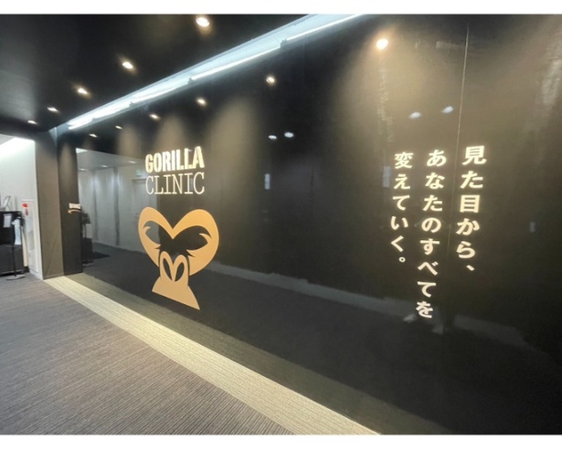 ゴリラクリニック／Gorilla clinic (@gorilla.clinic) • Instagram