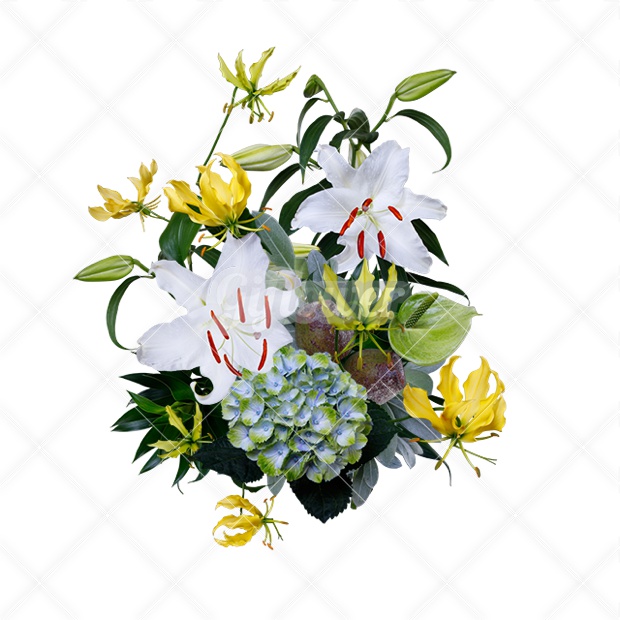 葉っぱ イラストイラスト画像とPSDフリー素材透過の無料ダウンロード - Pngtree