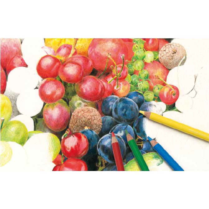 Amazon三菱鉛筆 色鉛筆 ユニカラー 539 エメラルドグリーン6本セット取寄品 UCN.539色鉛筆文房具・オフィス用品