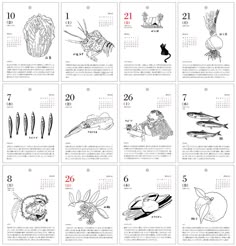 2020東京五輪まで３年間使える！ユニーク日めくりカレンダーを地方発世界へ - CAMPFIREキャンプファイヤー