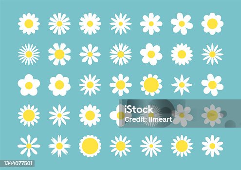 グリーンの色々な草花。 水彩イラスト の Stock イラストAdobe Stock