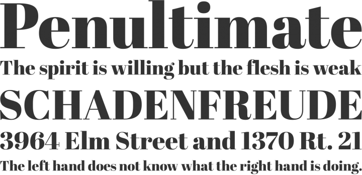 デザイナー厳選 英語フリーフォント50選！おしゃれ・かわいい・ポップなどCanva キャンバ