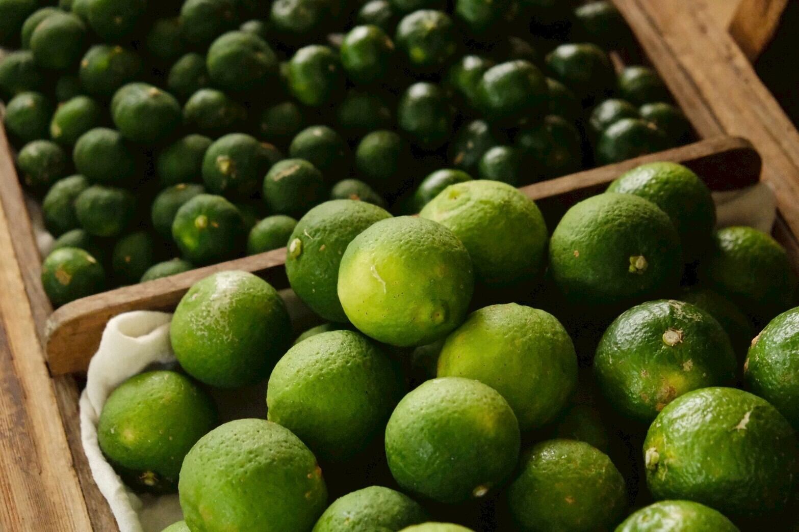 シトラスカラーとは？│ファッション服レンタル比較してみた