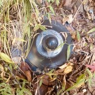 タイヤの管理もAIの時代！「かんたん タイヤ画像診断」とは？クルマ情報サイトｰGAZOO.com