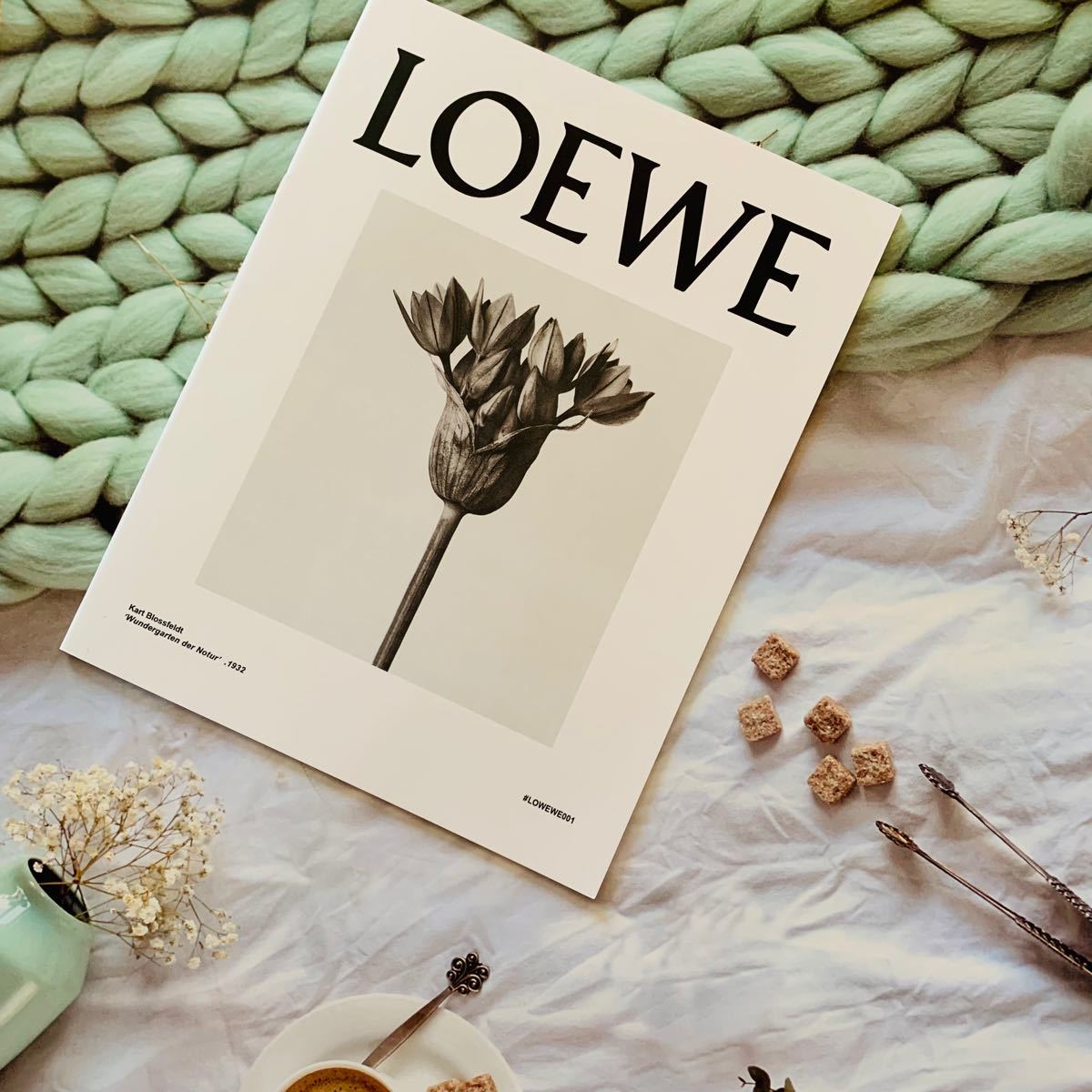 スペイン発の人気ブランド・ロエベがジブリ作品「となりのトトロ」とのコラボレーションを発表2020年12月30日- エキサイトニュース