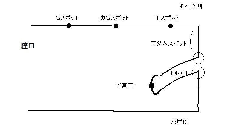 伝説のAV男優“ゴールドフィンガー”加藤鷹が教える手マン講座｜SP企画｜kaku-butsu 風俗ランキング