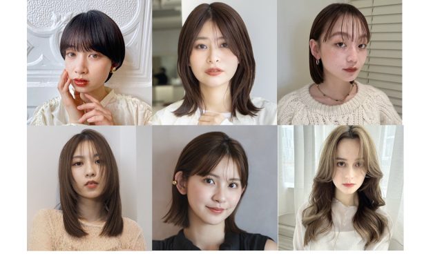 SHIPS any: カラーミックスコード トーン オン トーン デザイン Tシャツ a-nylon ◇ SHIPS 公式サイト