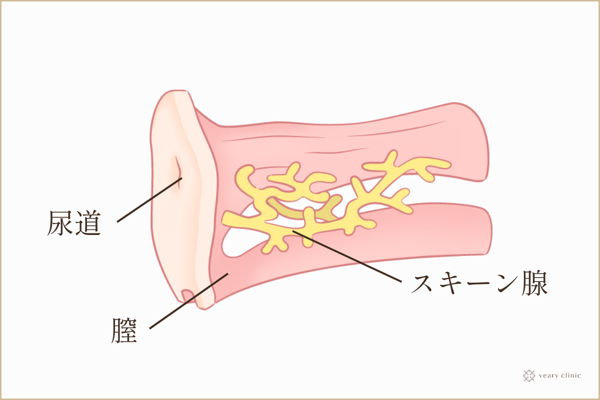 女性がイク感覚とは？ひとりエッチやオナニーでのイキ方を解説！ | WOLO