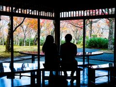 箱根町- 地区- Tokyo