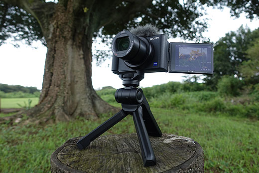 Nikon 1 J5のスローモーション撮影を楽しむ - yorokinoko よろきのこ のブログ 日記