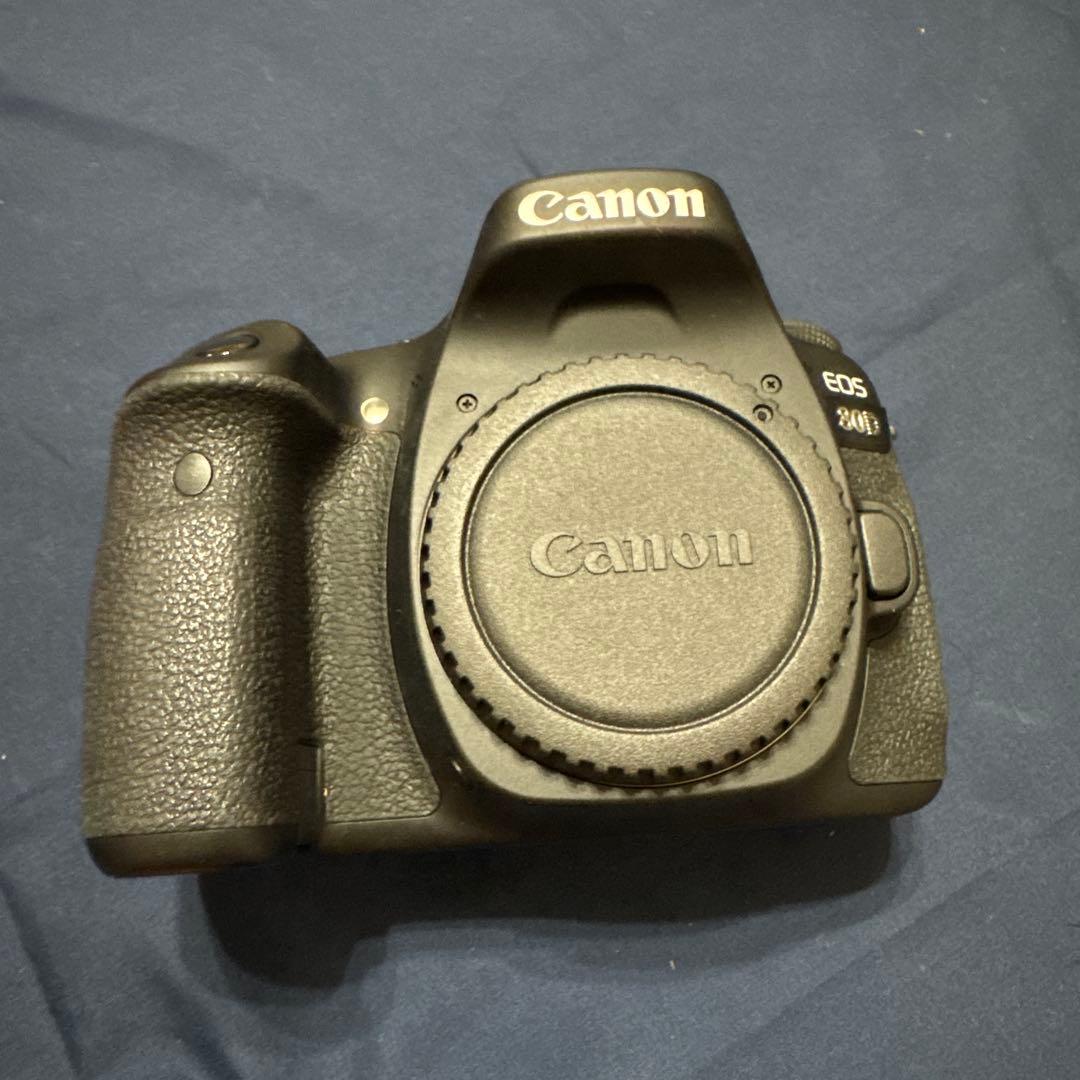 iPhoneで綺麗に撮るなら超重要！明るさとピントを自在に操る、黄色い四角 と 太陽マーク の機能を使いこなそう – 初心者さんにやさしいミラーレス一眼写真教室