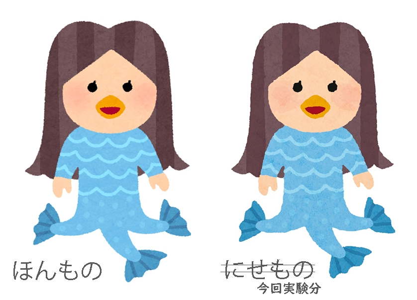 アパレルショップの店員さん 60001000245 の写真・イラスト素材アマナイメージズ