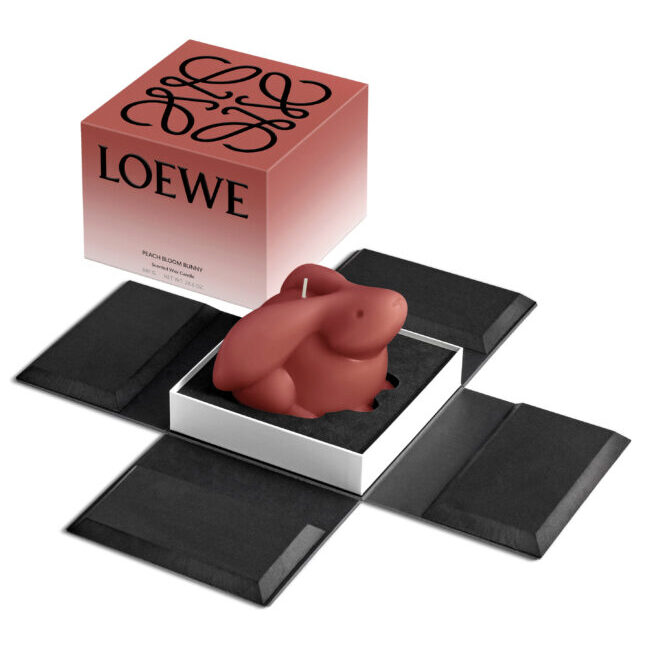 LOEWE ロエベ ハンモック