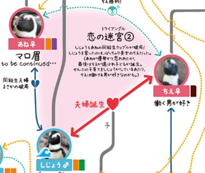 京都の漢方薬局「慈椿堂薬局」から肥満でお悩みの方へ | 京都の漢方薬局として糖尿病や肥満・冷えの相談を承る「慈椿堂薬局」