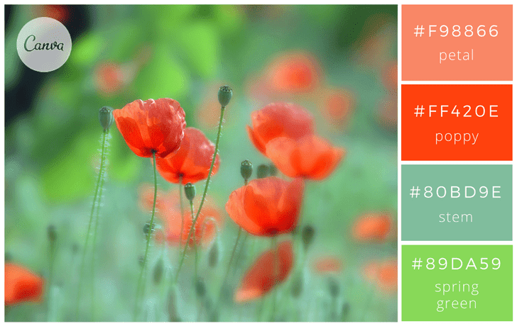 colorpalette カラーパレット カラーパレット 単色CP-29ゴム印の専門店 ゴム 印鑑.com