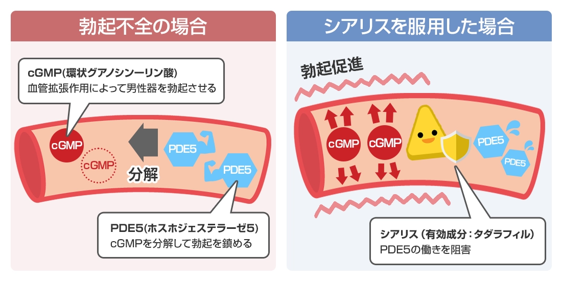 シアスマ通販｜ED治療薬-シアリスジェネリック【お薬通販部】