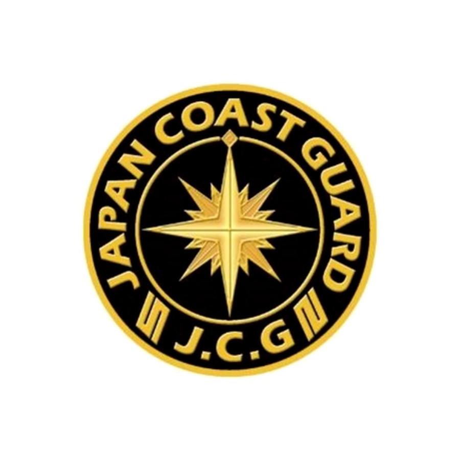 即購入可 コンパス ロゴマークピンズ 金 銀 Amazon.co.jp: ピンバッジ フリーメイソン 定規