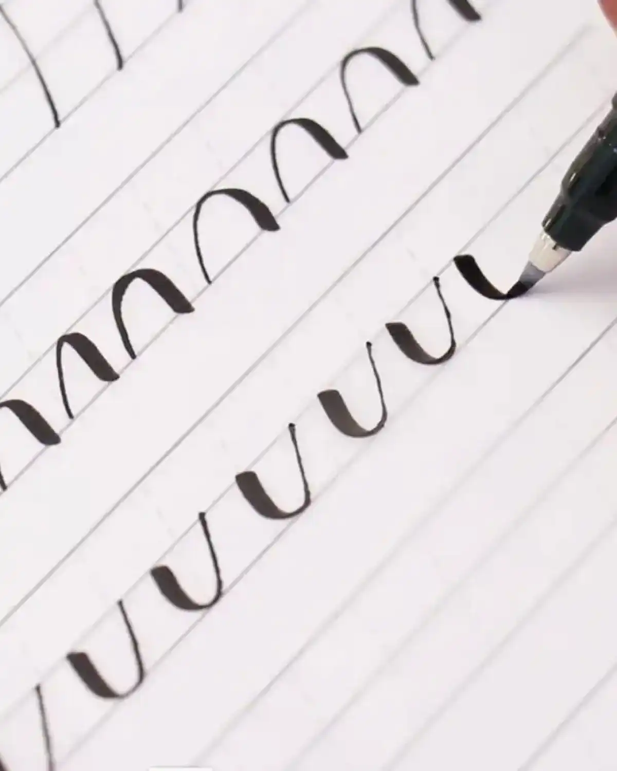 ハンドレタリング素材集 ＴＡＭ'Ｓ ＷＯＲＫＳによる手書き文字・フォント・スタンプの世界 通販セブンネットショッピング