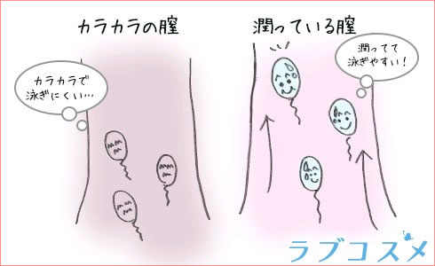 変態女が解説】クンニ中しょっぱいと感じたら女性は感じていない？感じてるのサインとは！ | happy-travel[ハッピートラベル]