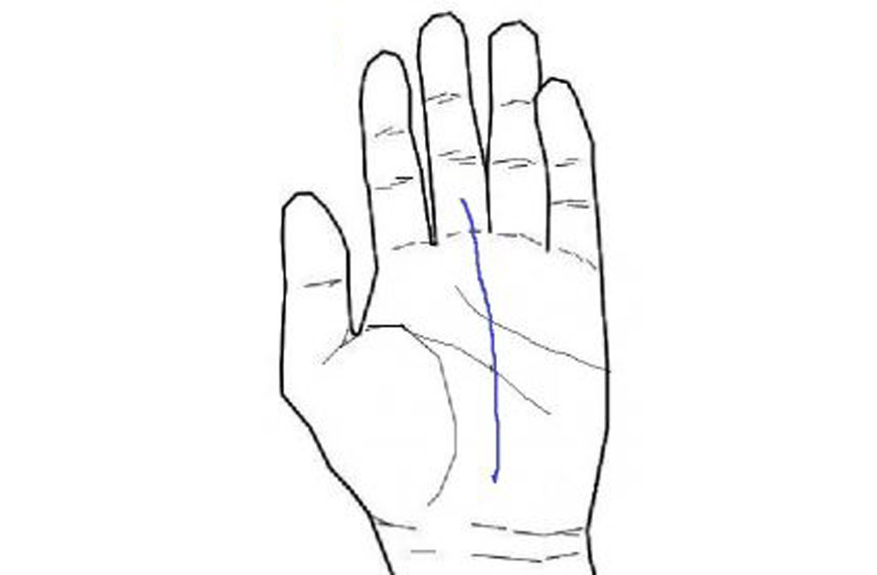手相を見てみよう！中指と薬指の間の縦線の意味とは - クラスール 占い