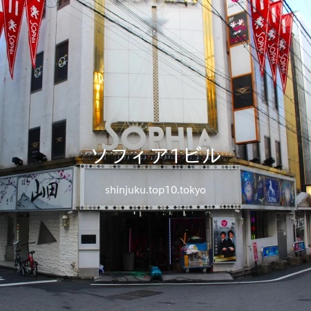 SOPHIA(ソフィア)｜新宿（歌舞伎町）のヘルス風俗男性求人【俺の風】