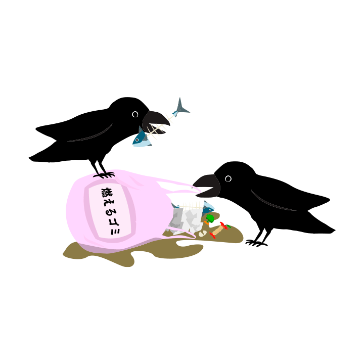 Amazon.co.jp: 特別冊子 描き下ろし日常イラスト ハイキュー ゴミ捨て場の決戦 33.5巻 来場者特典 入場者特典 : 本