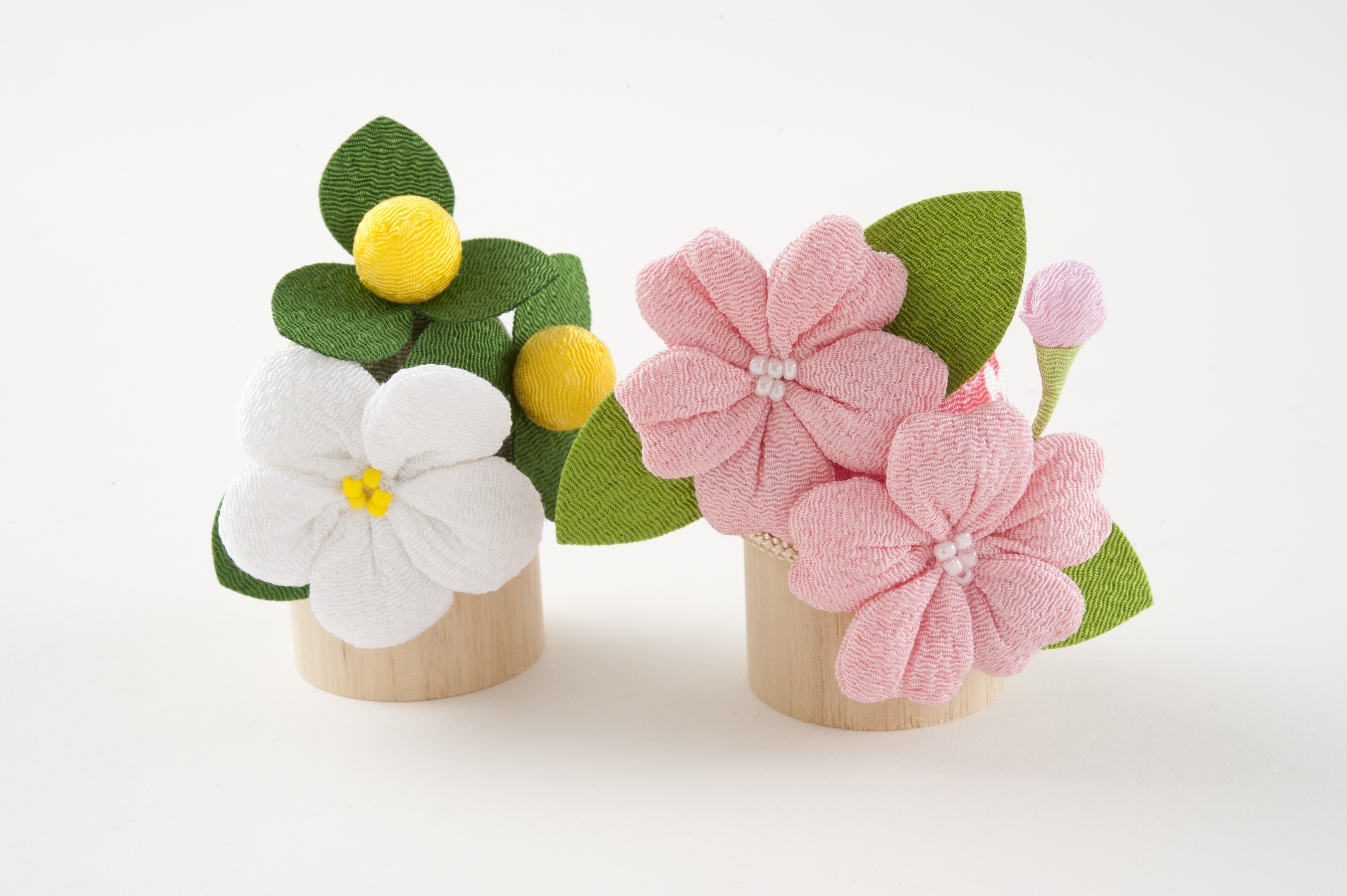 左近の桜、右近の橘。ウチの校章は「橘」だったはず。歯並び・噛み合わせなどの歯のトラブルは千葉市美浜区のかとう歯科