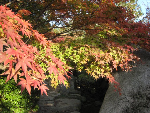 2024最新】つくば・土浦・石岡で紅葉が綺麗なおすすめのスポットTOP8 | aumo[アウモ]