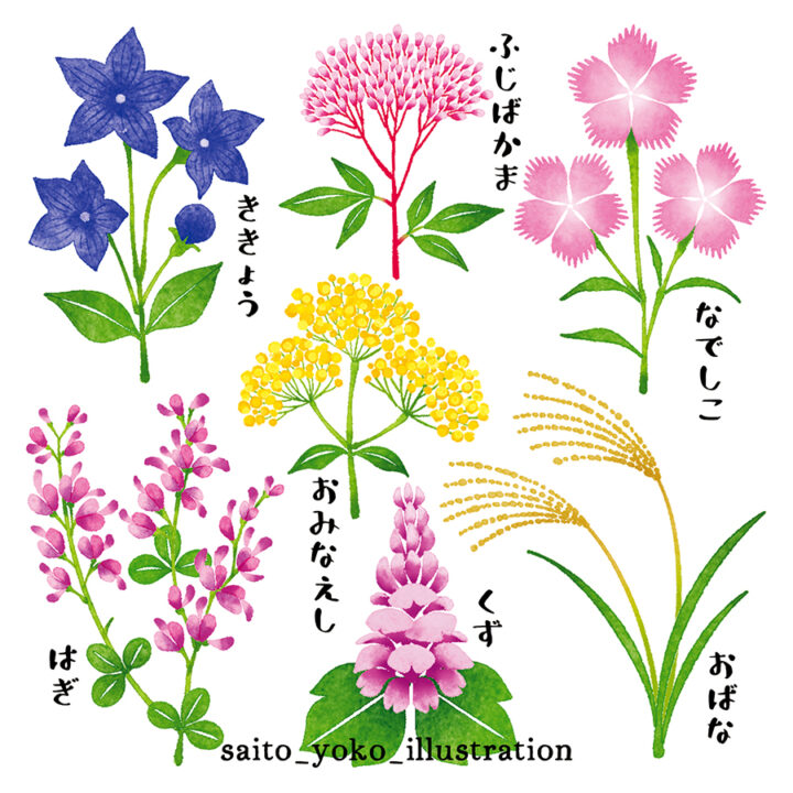 ナチュラルガーデン かわいい 草花 イラスト素材3728490- フォトライブラリ