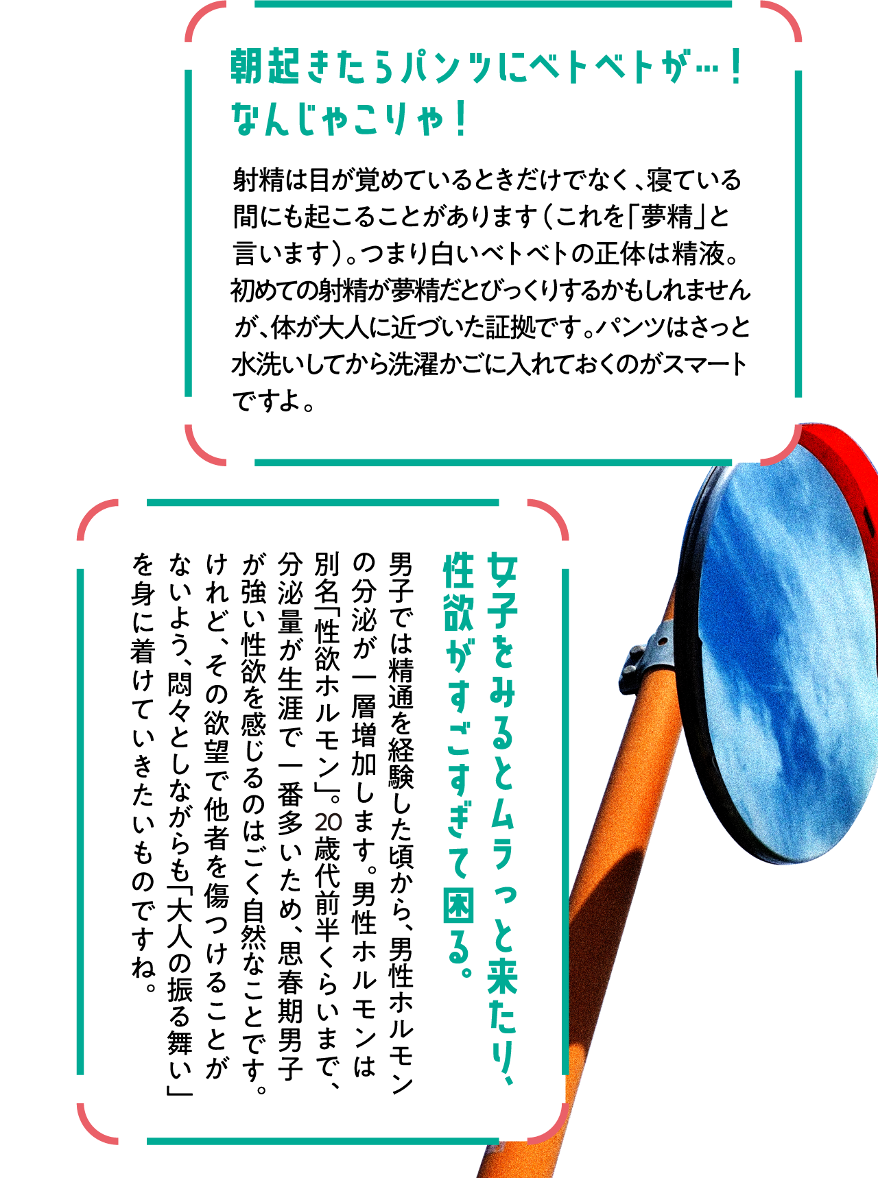 世界基準の性教育】小学生頃の男女にどうやって体や性のこと伝えたらいい？初潮や精通のこと | 家庭ではじめる性教育サイト命育