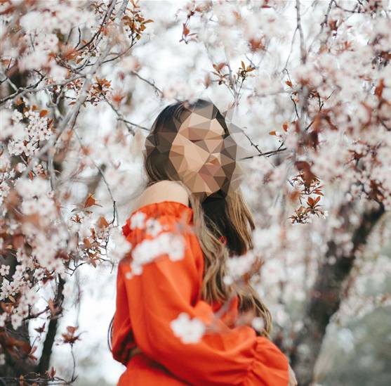 無料 モザイク＆ぼかし加工ができるアプリおすすめ７選 2025年最新