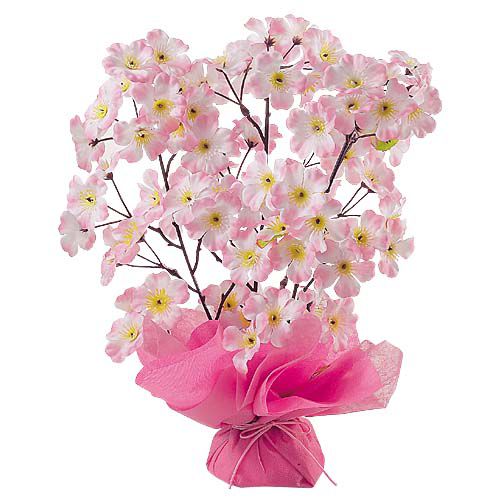 店内装飾 春の装い♪♪: 京都しゃぼんやのブログ