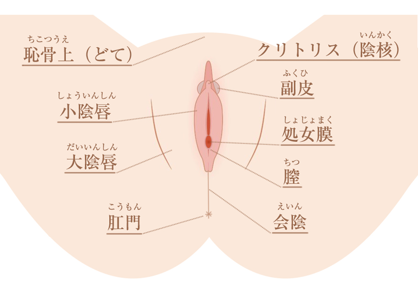 女さん「男は高速手マンするな！膣壁がえぐられてマジで痛いの！」→1.5万RT : 大人じゃん＿＿＿