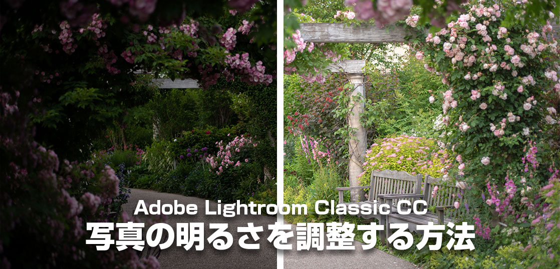 暗い写真を明るくするコツ , 水族館など暗いところで撮った写真を明るくするとき。, まずは1つ前の動画と同じように,「露光量」「シャドウ」「黒レベル」を調整。,前の動画は「ハイライト」「白レベル」だったけど、, 白黒が逆転したと考えてね ,ただ、暗いものを明るくするときは, やりすぎるとザラザラとした「ノイズ」が出てしまう , こんなときは「ノイズの軽減」で,