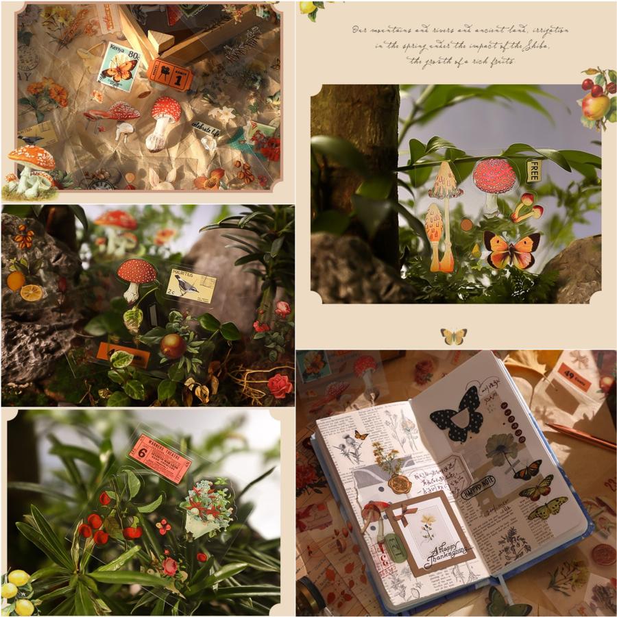 おしゃれなコラージュが簡単にできる編集アプリ「Canva」にストーリー専用のテンプレートアプリが登場！ - isuta イスタ-私の“好き”にウソをつかない